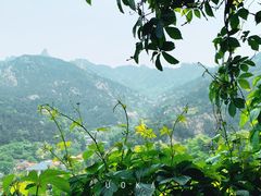 -葛子涧农家宴