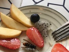 -懒鱼时光馆(沙坪坝店)