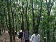 -火炉山森林公园