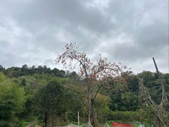 -东钱湖旅游度假区