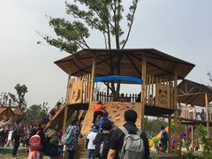 -上海长兴岛郊野公园