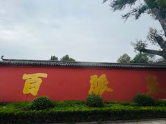-百脉泉景区