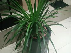 -聚宾楼·烤鸭·家宴(科技三路店)