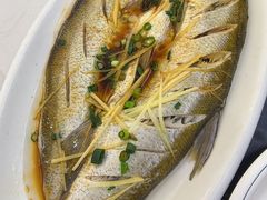 -源水鱼庄·翘嘴鲌店·老字号