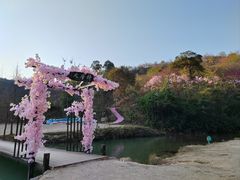 -世间香境·七溪地