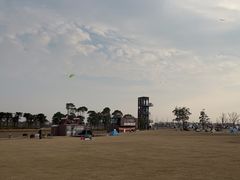 -春花秋色城市公园