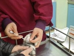 -天津前进宠物医院(前进道店)