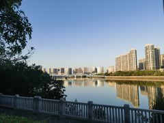 -五缘湾湿地公园