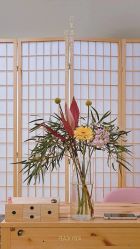 -Peach Yoga桃桃瑜伽塑形馆