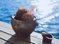 -丽江泸沽湖景区