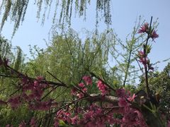 -鹦鹉寺公园