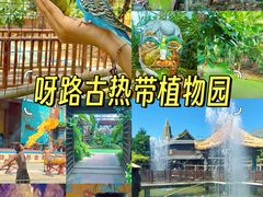 -呀路古热带植物园