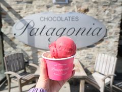 -Patagonia Chocolates(皇后镇店)