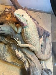 -Zoolung Zoolung动物主题公园(海信广场店)