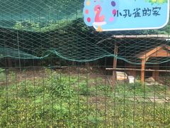 -诸暨耀江开元名都大酒店·琉森湖自助餐厅