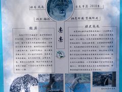 -青藏高原野生动物园