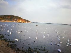 -烟墩角天鹅湖
