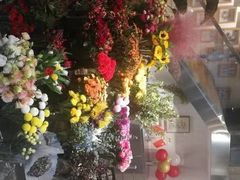 -植物学家的女儿(北马道巷店)