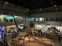 -自贡恐龙博物馆