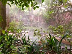 -柏联酒店