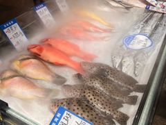 -闽海肴(北辰荟店)