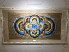 -上海昆虫博物馆