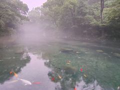 -雁荡山风景名胜区