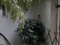 -唐龙会唐文化餐厅(金友大厦店)