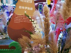 -凯德广场(西城店)