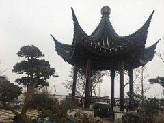 -大东方海鲜酒楼(小武基桥店)