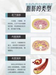 -Fundi张玉珊修身堂·indiba·BTL科技瘦身