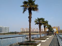 -白塘生态植物园