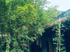 -半山•草庐玖厨(机场路店)