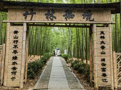 -大奇山国家森林公园