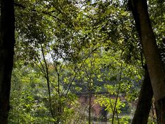 -白鹭湾湿地公园