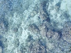 -三亚西岛海洋文化旅游区