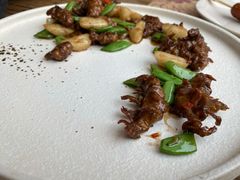 -素心小筑(后沙裕镇店)