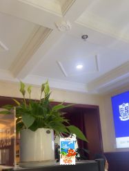 -南京医科大学友谊整形外科医院