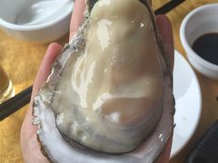 -蚝专家(北滘店)
