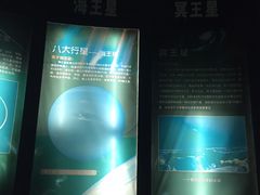 -金钉子远古世界景区
