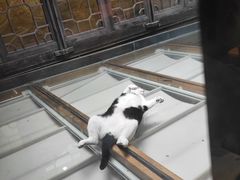 -猫的天空之城概念书店(杭州南宋御街店)