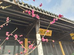 -红梅公园