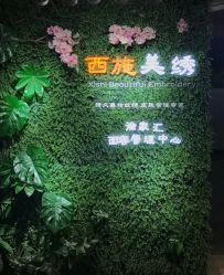 -西施无菌半永久纹绣眉眼影唇轻增发纹发际线