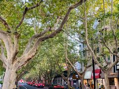 -一尺花园(安和花园店)