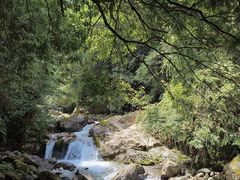 -西岭雪山大飞水景区