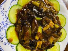 葱烧海参-公寓家常菜馆(海军博物馆店)