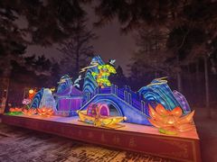 -长春市南湖公园