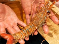 -镹·鱼料理  国产鱼使用店