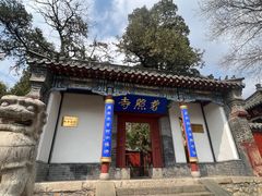 -泰山风景名胜区-普照寺