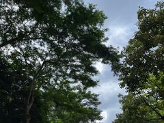 -凤岗南门山森林公园